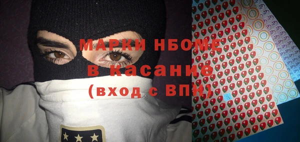 сатива Балахна