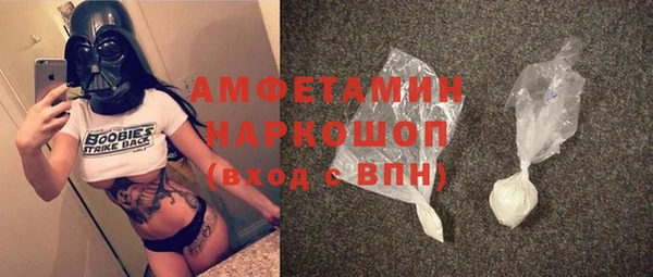 сатива Балахна