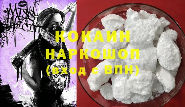 сатива Балахна