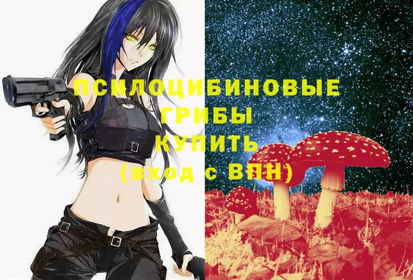 сатива Балахна