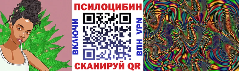 shop клад  Волосово  Псилоцибиновые грибы мицелий  цена  