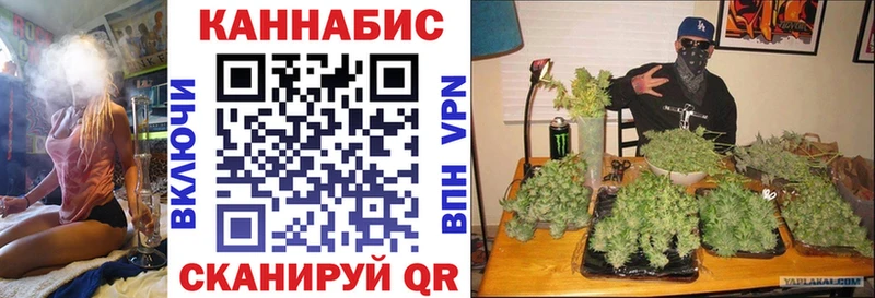 где найти   Волосово  mega сайт  Бошки марихуана LSD WEED 